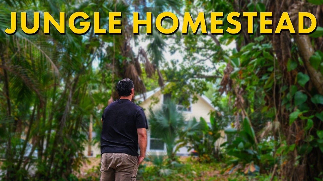 I Quit My Job and Bought a House in the Florida Jungle