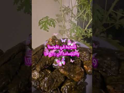 هدا بعد حطرنه وطاب والحمد لله على النعمه يارب انودكم ولا نشهيكم اكسبلور