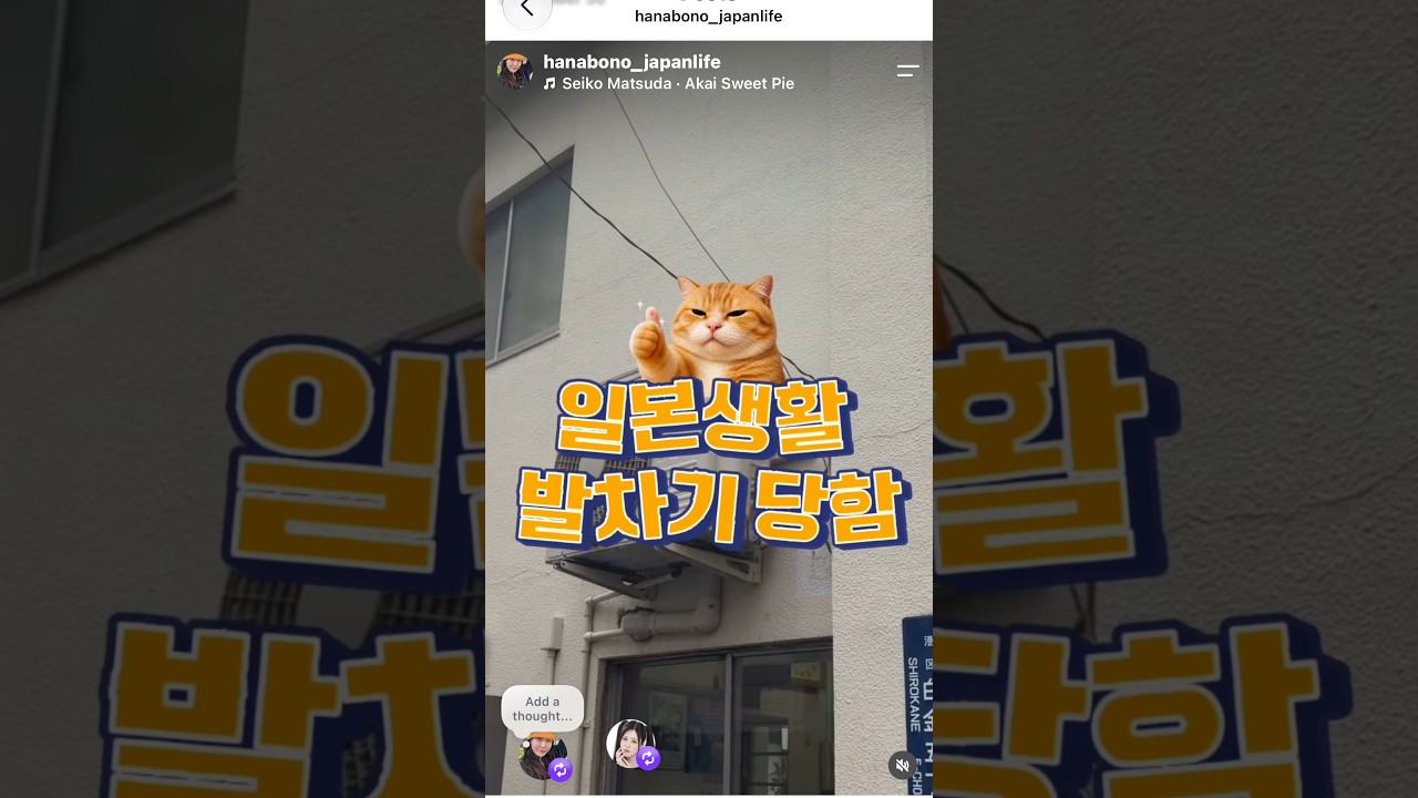 일본한달살기 발차기당함日本1か月滞在中に蹴られました