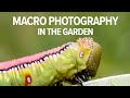 The joy of macro photography in the garden