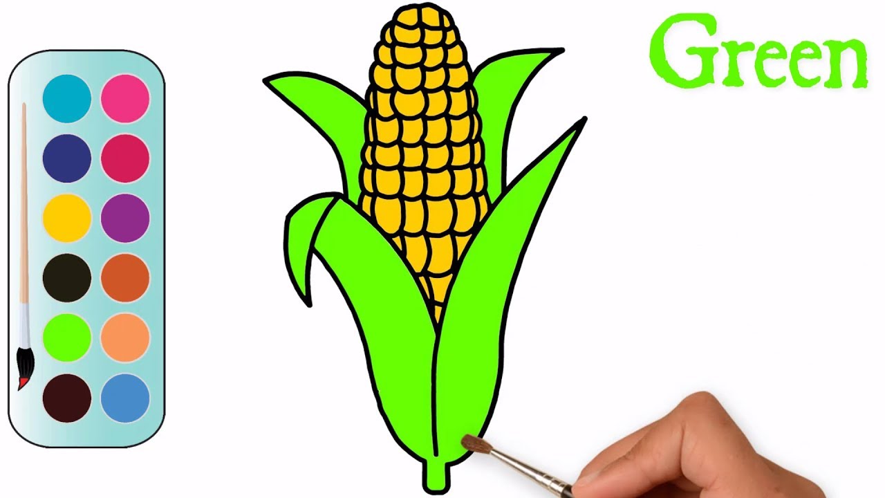 Drawing and Coloring a Corn Easy way to Draw a Corn MHP Learning