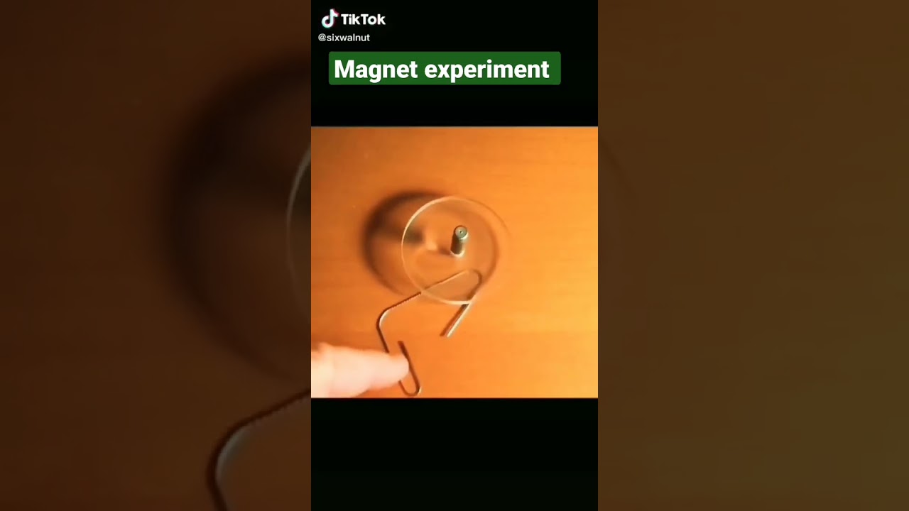 Magnetism - paper clip experiments - new fascinating, safe, easy - Ciencias  y Artes Patagonia (CAPat).