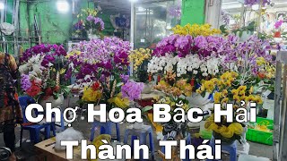 Chợ Hoa Bắc Hải Thành Thái  sáng ngày 29 tết