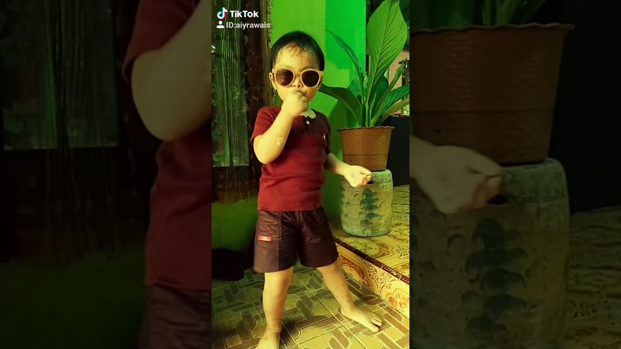 DJ tukang parkir 