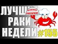 ЛРН выпуск №155. СЛИПШИЕСЯ РАКООБРАЗНИКИ и МНОГОКНОПОЧНЫЙ АРТАВОД [Лучшие Раки Недели]