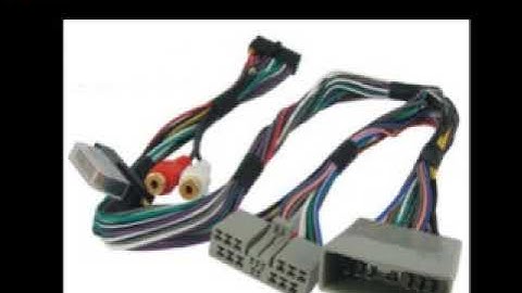 class11 chapter 3 Computer Organization   Part 1