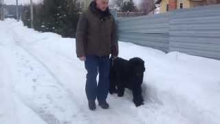 Trim 84Eba184 1Fc2 46Ca 8B43 Fa63D3319Fdd