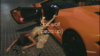 Shakira - She Wolf (speed up)