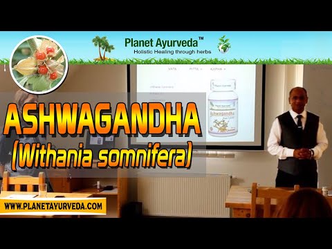 Watch Video Health Benefits and Medicinal Properties of Ashwagandha - Withania somnifera