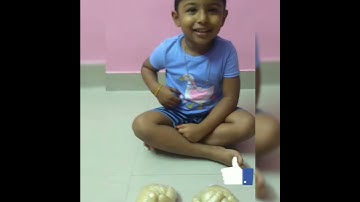 Number counting activity for kids| DIY Craft series (25)