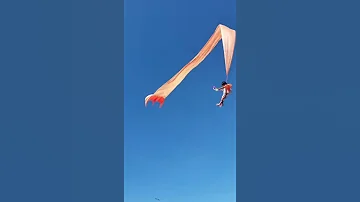 Ужас!!  Ребенок Улетел на Воздушном Змее!!!