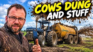 Donkey262 cows and slurry