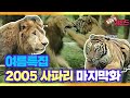 [동물농장 레전드] 🌊여름특집🌊 ‘2005 사파리’ 다시보기 EP.5 마지막화 I TV동물농장 (Animal Farm) | SBS Story