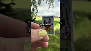 Tiny Tarot Today: A Daily Timeless Adventure