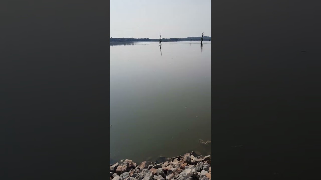 Mermet Lake, So. Illinois.