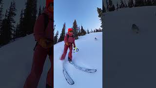 Husky's Obsession Is Skiing With Mom | The Dodo