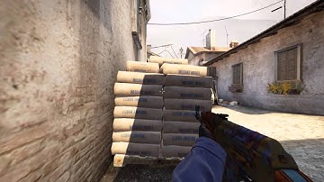 DreamHack Winter 2013: flusha vs. NiP