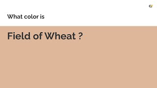 Field of Wheat color #deb699 hex color - Orange color - Cool color deb699