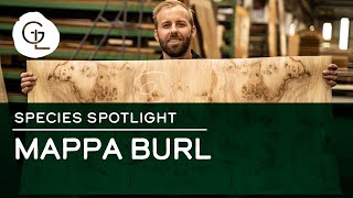 Mappa Burl Wood Veneer Sheets