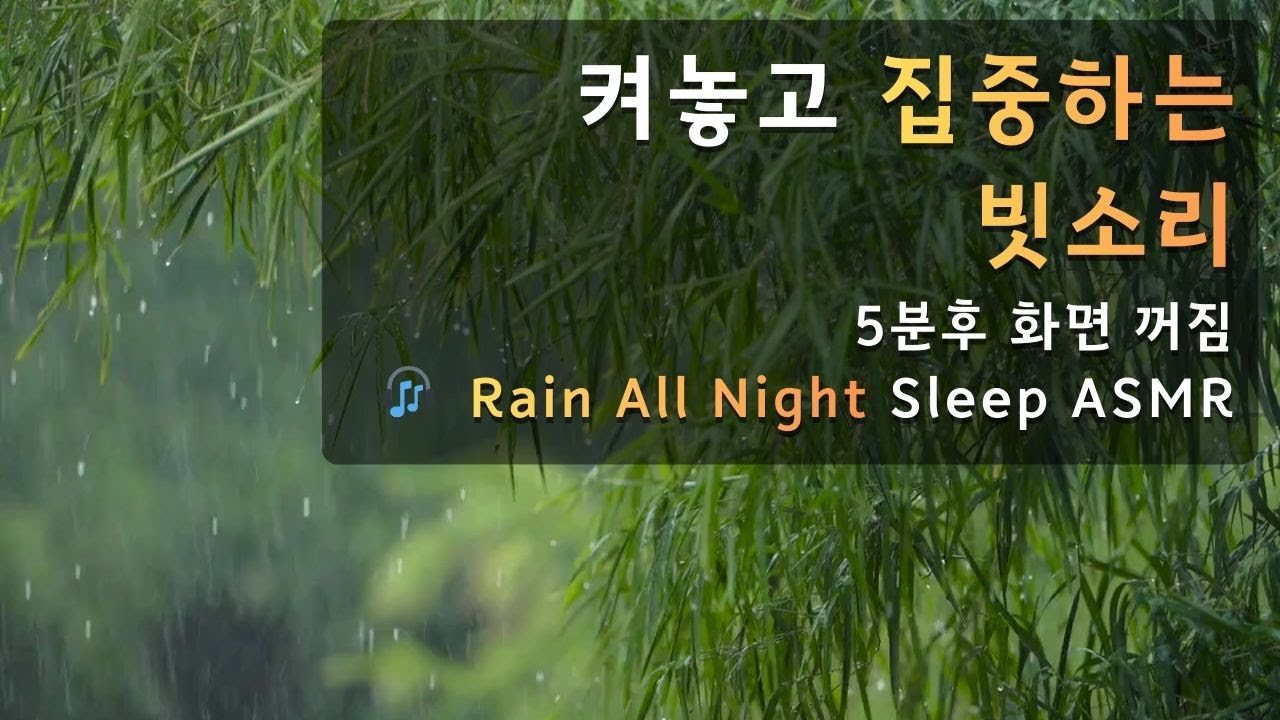[집중·몰입] 초록 갈대 사이로 스며드는 빗소리 | Green Reeds & Rain ASMR 2 Hours - YouTube
