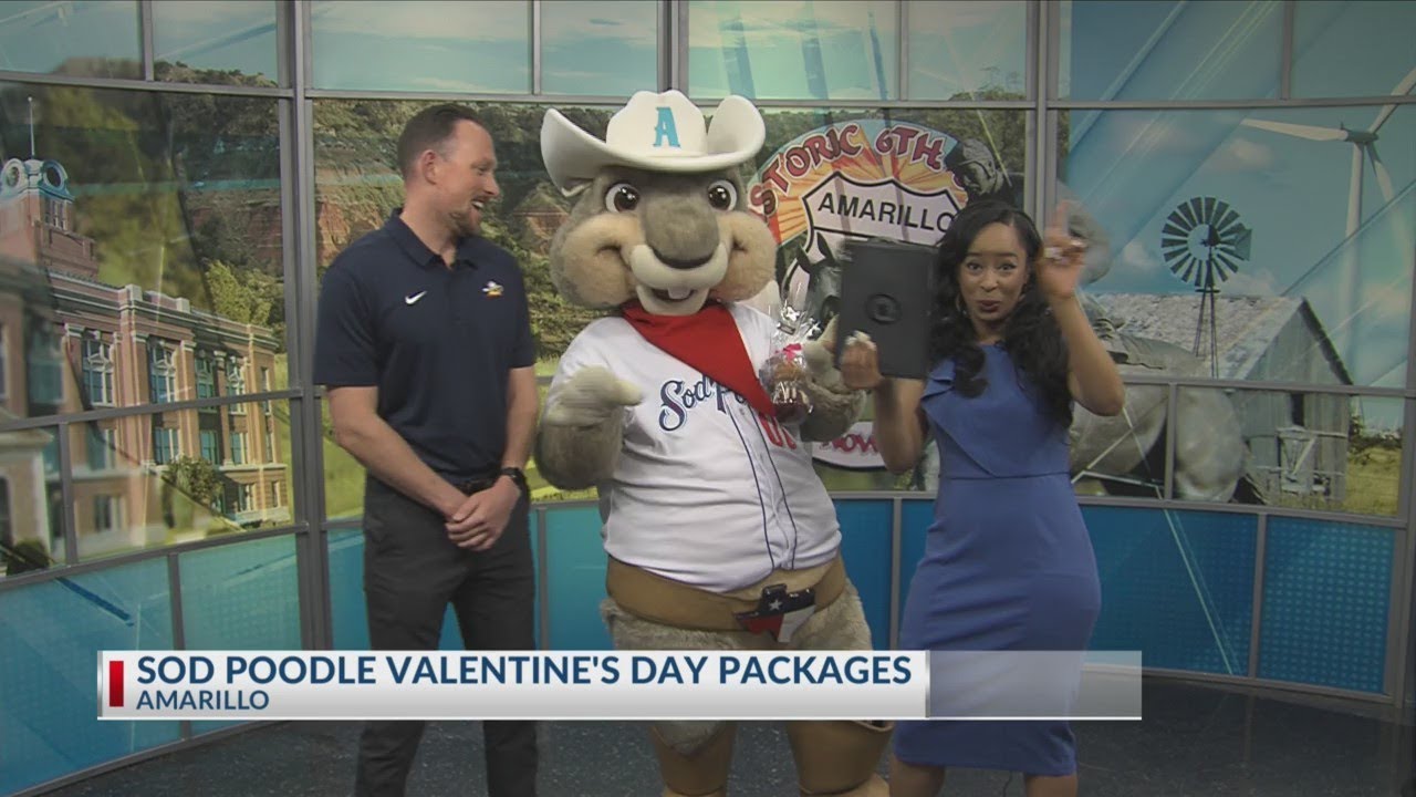 Today in Amarillo Sod Poodles Valentines Day Packages