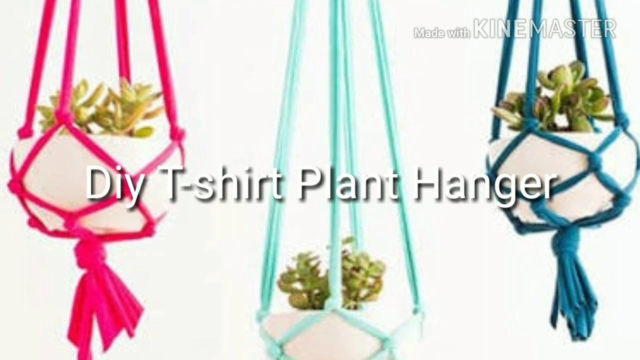 diy t shirt plant