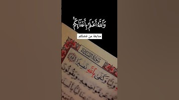 تلاوة الشيخ سعد الغامدي #quran #اكسبلور #التوبة #دويتو #يوتيوب #duet #اليوم #لايك #قران_كريم