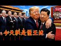 【辱包】今天朕是懂王迷（原曲：今天你要嫁给我）#川普访华