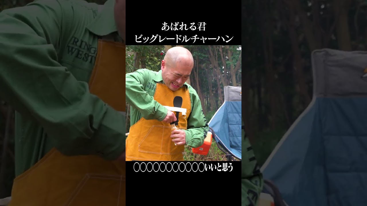 ビッグレードルチャーハン