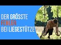 Der größte Fehler bei Liegestütze! Machst du ihn auch?