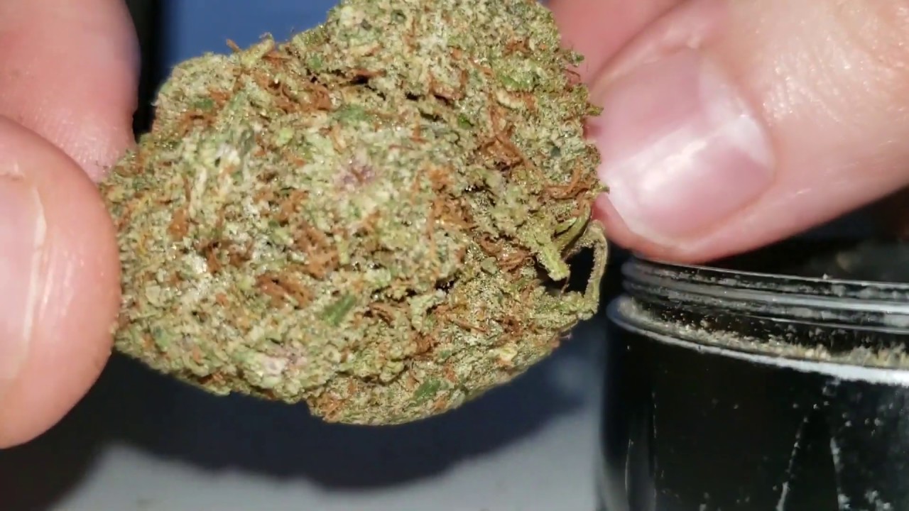 STRAIN REVIEW 080: pink gorilla bomb AAA - Lowpricebud