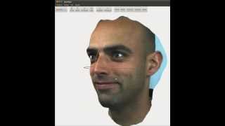 4D Facial Dynamics for Identity Recognition screenshot 3
