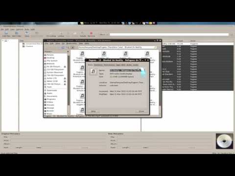 MusicBrainz Picard - Auto ID3 Tag Rename & Cover Art - Linux Mint 8
