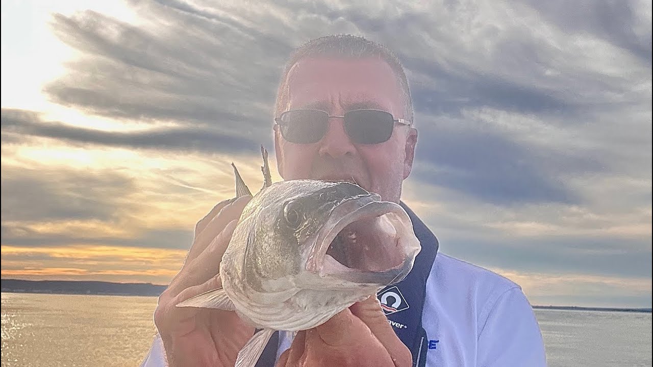 BASS FISHING FROM MY BOAT OFF EASTBOURNE.(UK BOAT FISHING) fishing 