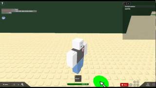 robloxapp-20110522-1927047.wmv