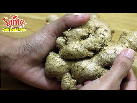 Vidéo: Compagnons appropriés pour le gingembre - Que puis-je planter avec du gingembre dans le jardin