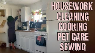 Getting Housework Done Being a Good Cat Mom of Five Cats Hemming a Dress Sharpening my Kitchen Knife by Jacinia Perez 291 views 2 months ago 10 minutes, 7 seconds