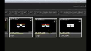 Alpha - Part 2 - Importing with Alpha