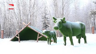 Топиарный парк в Пыть-Яхе – один из самых оригинальных в России