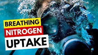 Breathing Nitrogen Uptake