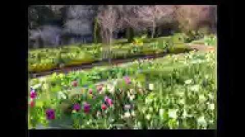 قصة قارون تلاوة رووووعه