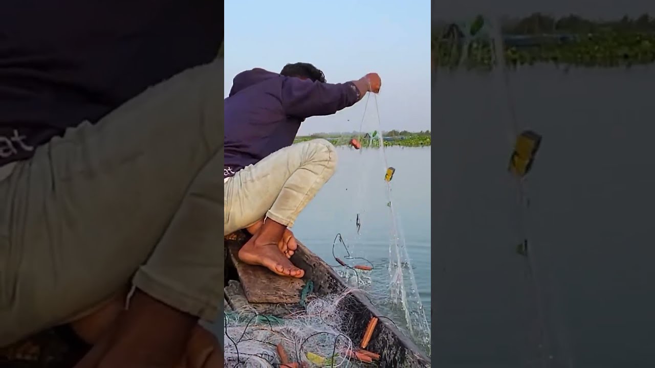 প্রাচীন কৌশলে অসাধারণ ঐতিহ্যবাহী মাছ ধরার প্রতিযোগিতা। Wow! Amazing Big Fishing #popularfishinglover