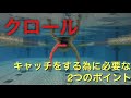 キャッチ をする為に押さえておきたい 2つのポイント 【 水泳 】【 競泳 】【 クロール 】