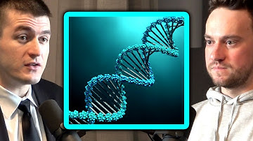 The Programming Language of Life | George Hotz and Lex Fridman