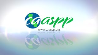 Celebrity California Alternate Assessments (CAA) - Item Routing Net Worth