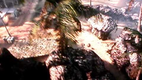 THE MOST AMAZING TOMAHAWK KILL IN THE HISTORY OF BLACK OPS