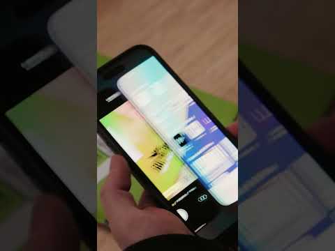 What Does a Bat Infestation Look Like? Signs and Symptoms to Watch For ...