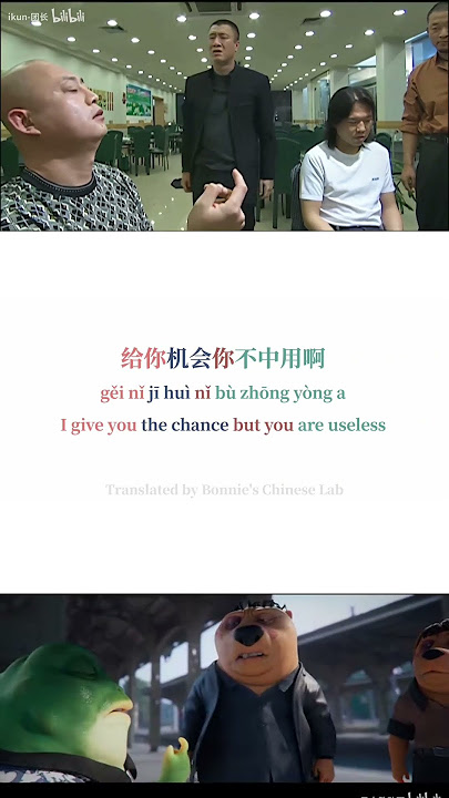 Chinese Beaver 2|Chinese Character/Pinyin/Engsub|Learn Chinese Through Memes|Mandarin