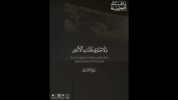﴿..وَمَا تَسْقُطُ مِن وَرَقَةٍ إِلَّا يَعْلَمُهَا..﴾ | القارئ: راشد الحليبة