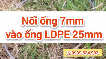Kết nối ống 7mm với ống LDPE 25mm đen. Bộ béc tưới phun mưa tiết kiệm, hiệu quả. Lý 0939834903